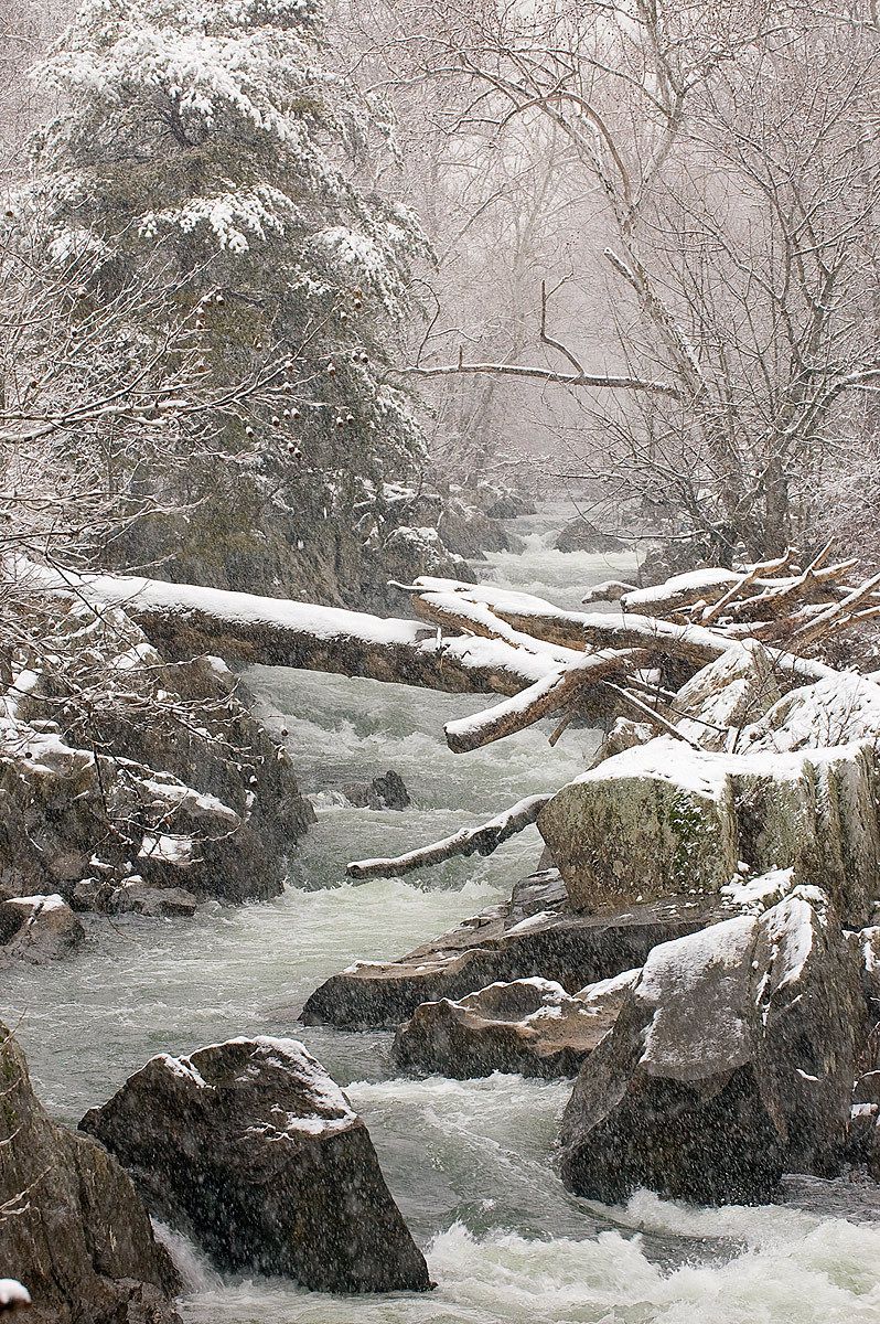 1owsley_050228_1773_810