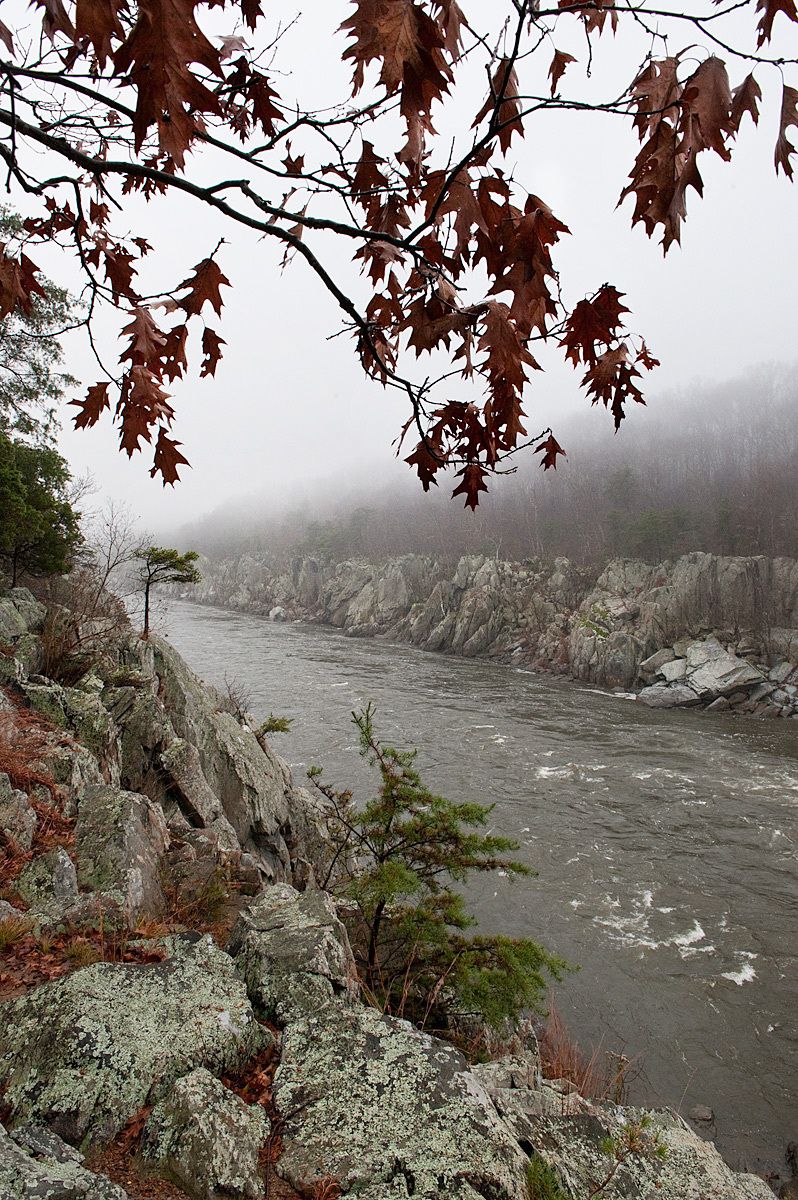 1owsley_091126_1574_edit