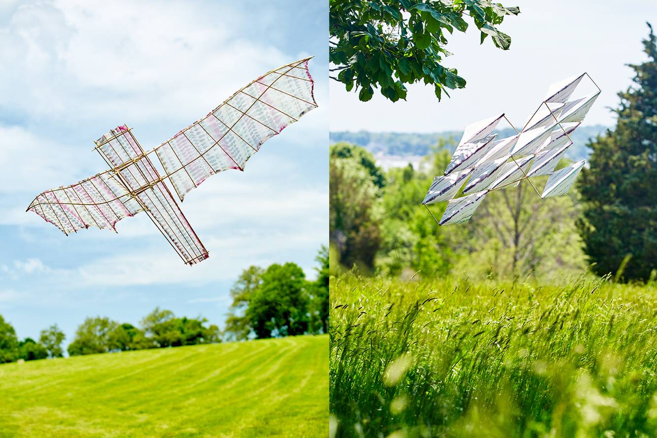 DNE_Kites 2_72 dpi NEW for WEB.jpg