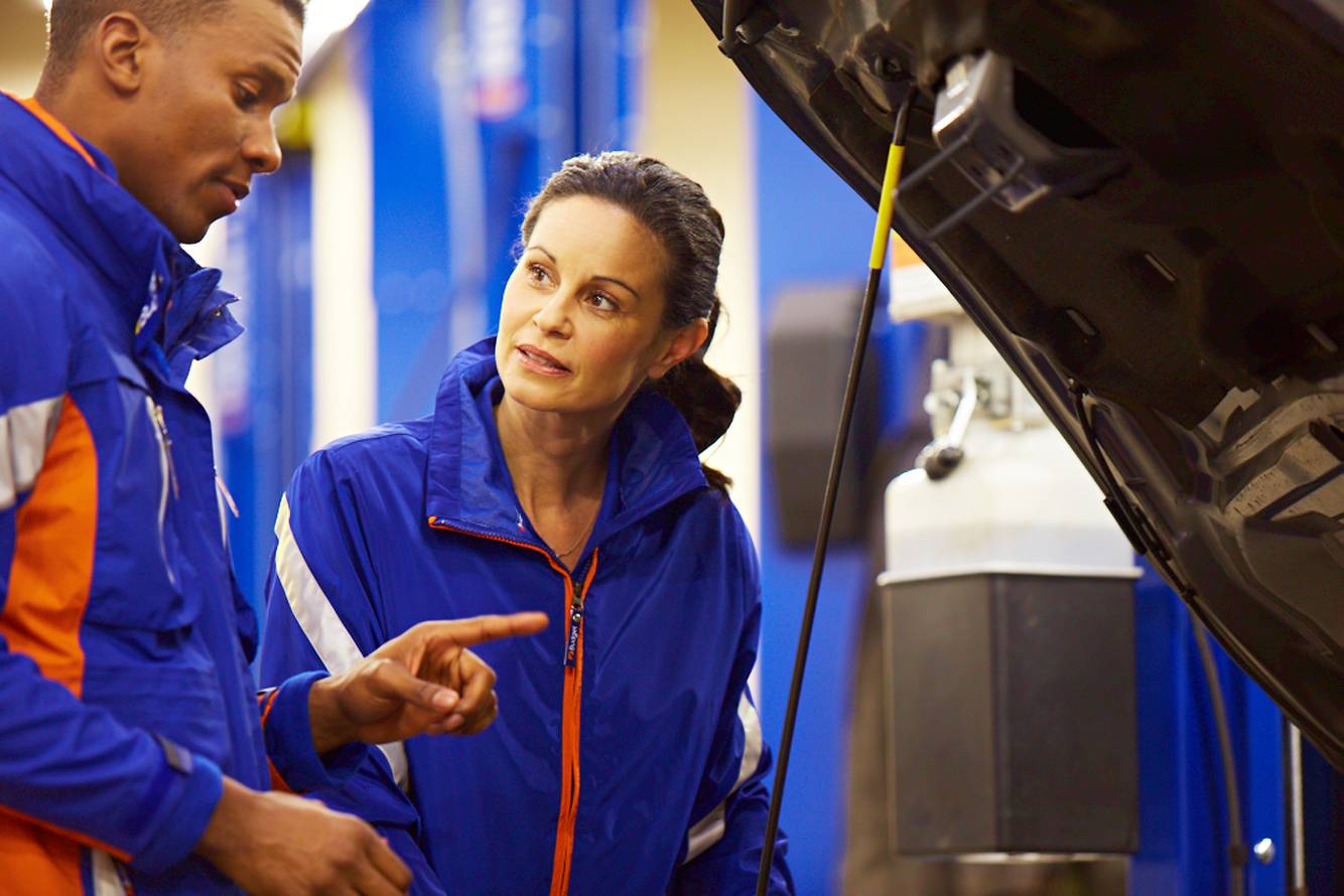 Avis_72 dpi NEW for WEB_23287.jpg