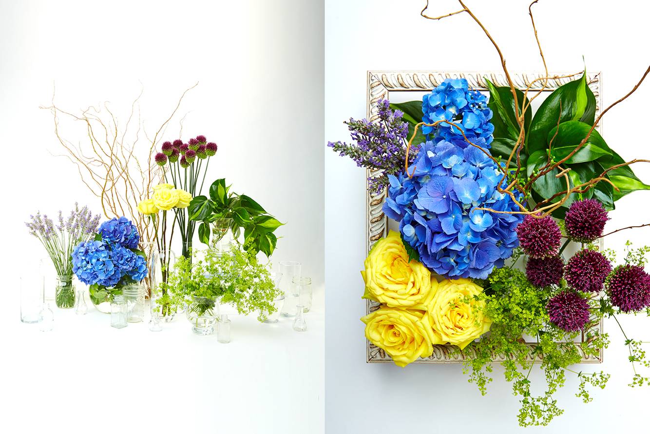 DNE_Plant Frame_72 dpi NEW for WEB.jpg