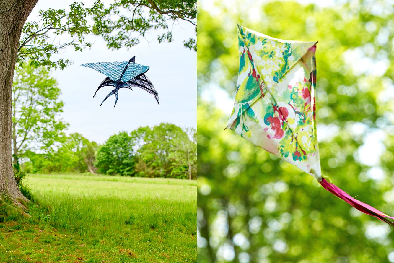 DNE_Kites 1_72 dpi NEW for WEB.jpg