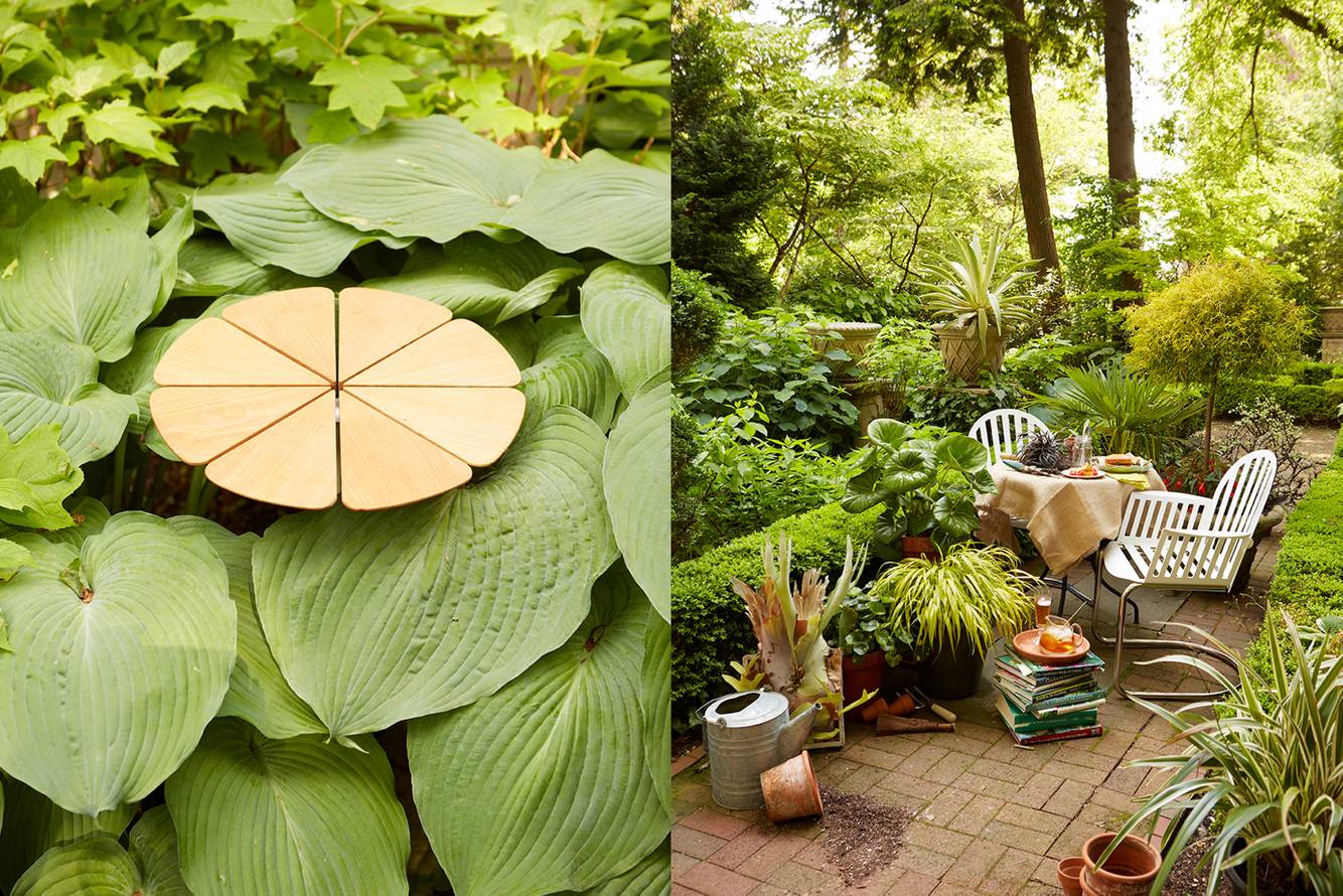 DNE_RI Garden 1_72 dpi NEW for WEB.jpg