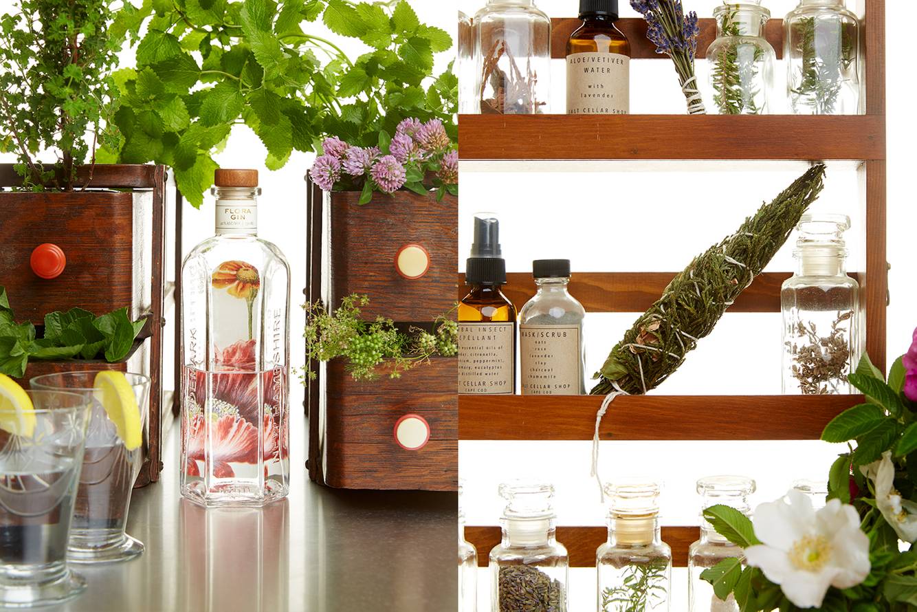 DNE_Herbs 2_72 dpi NEW for WEB.jpg