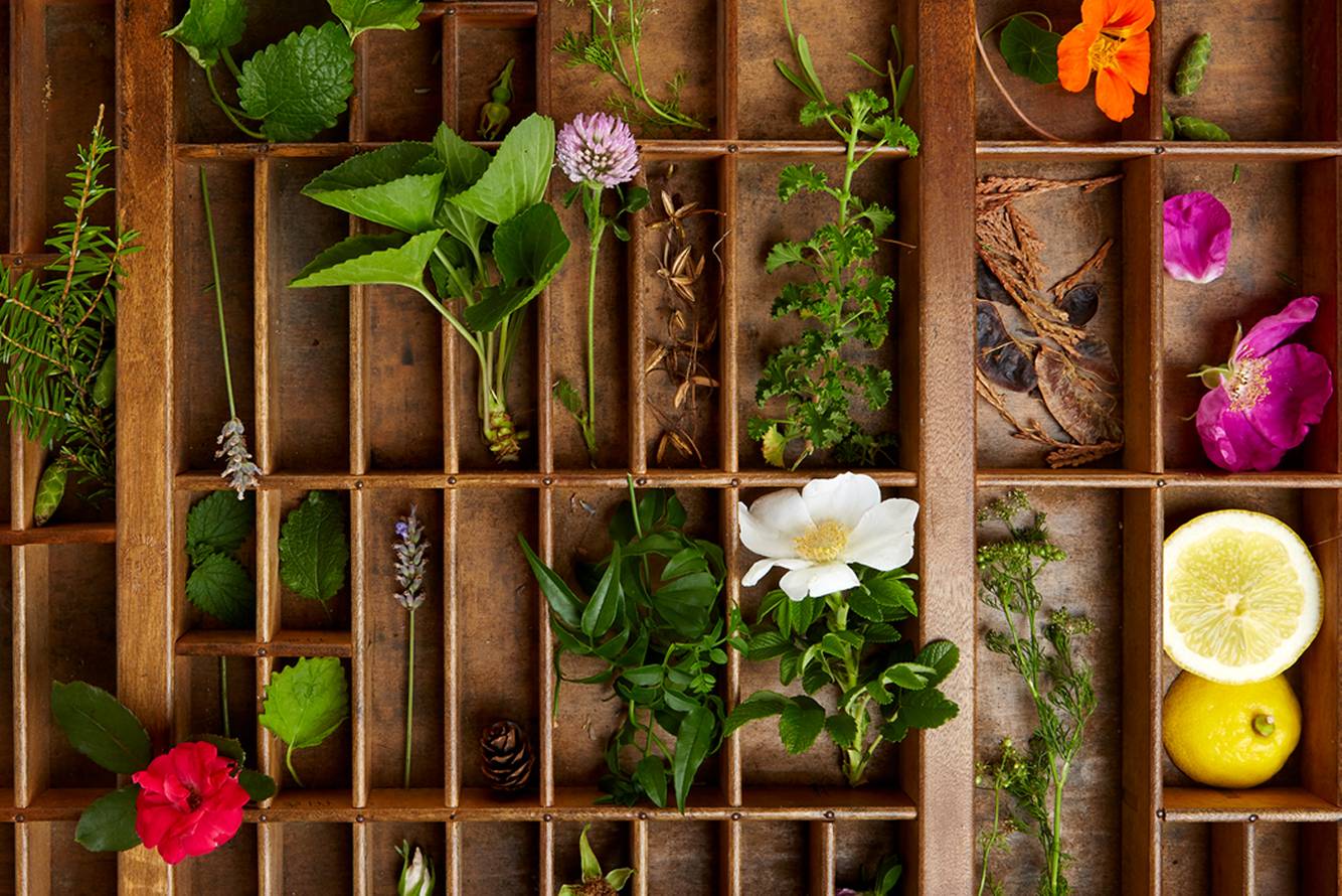 DNE_Herbs 1_72 dpi NEW for WEB.jpg