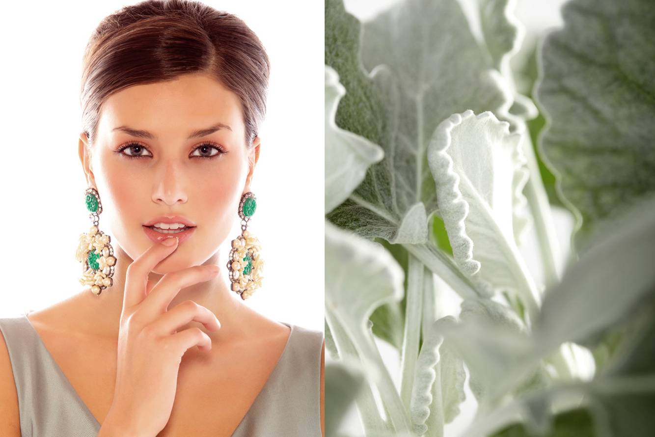 Improper_flowers 2_72 dpi NEW for WEB.jpg