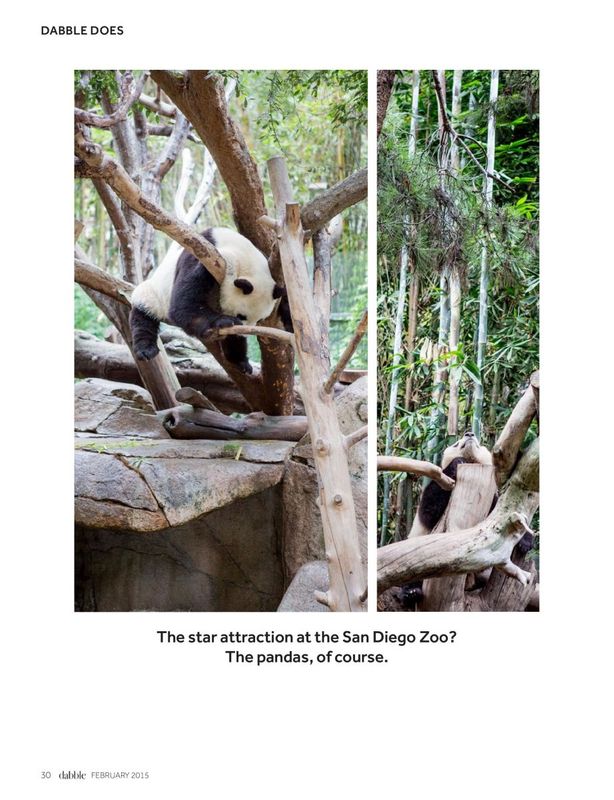 Dabble San Diego Angela Auclair Photography Children Travel