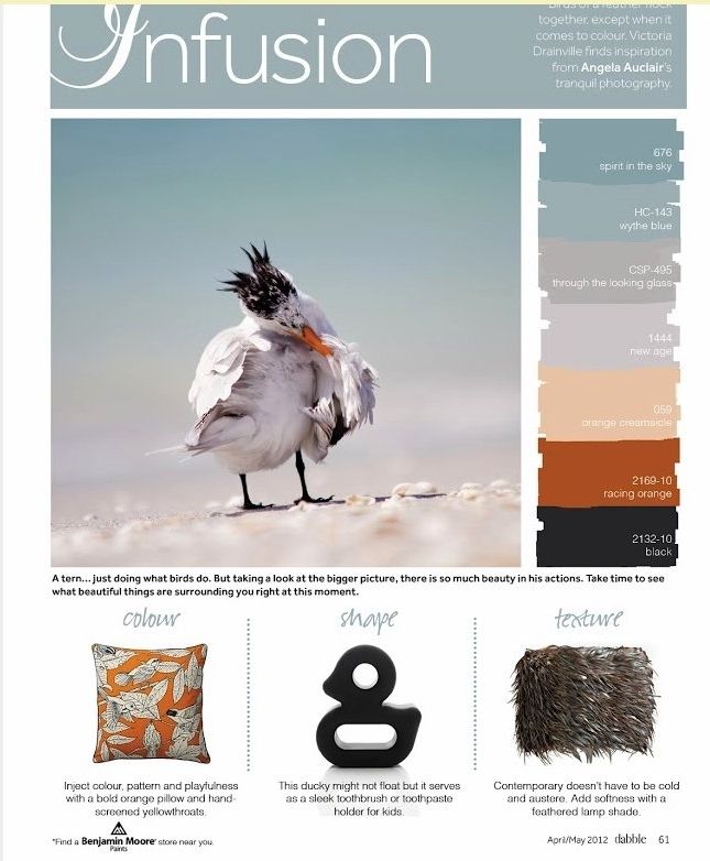 InfusionDabble Magazine, Issue 7MArch/April 2012