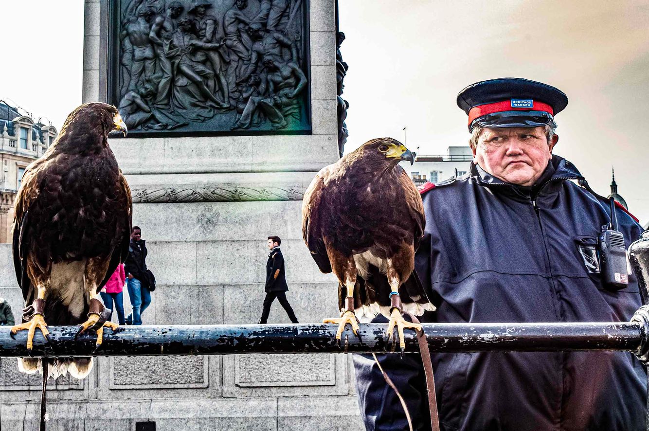 Trafalgar-Square-Stare.-at-Birds-of-Prayjpg.jpg