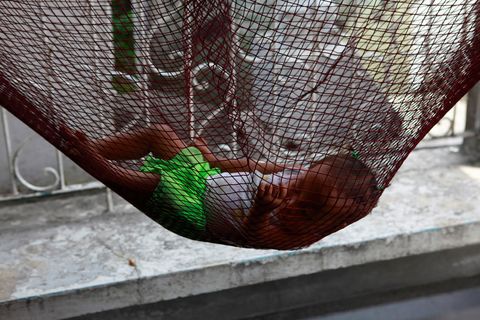 Transfer of Bones_Jill Schneider_0012.JPG