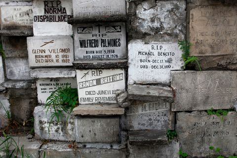 Transfer of Bones_Jill Schneider_0008.JPG