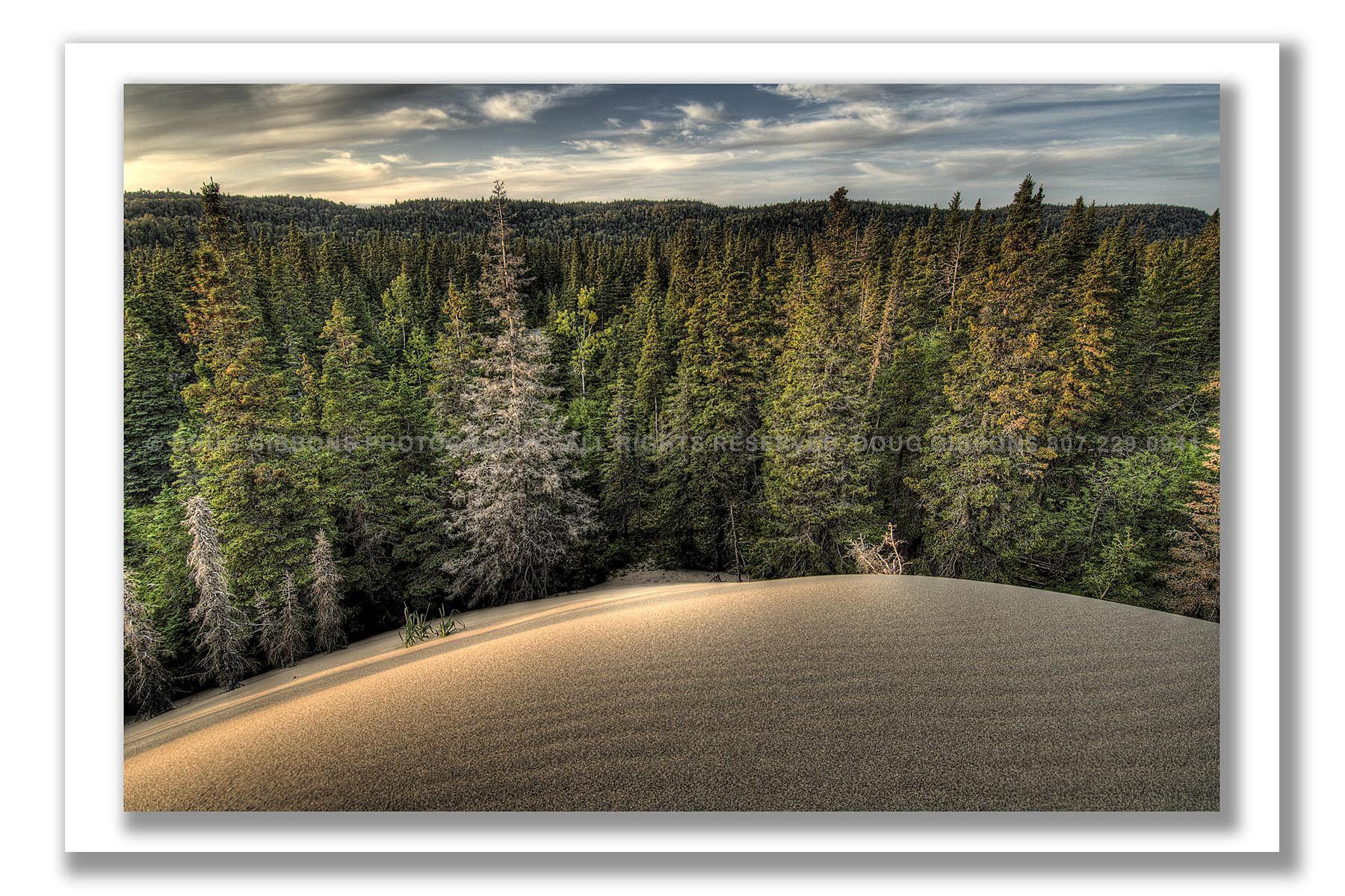 Pic Forest Dunes