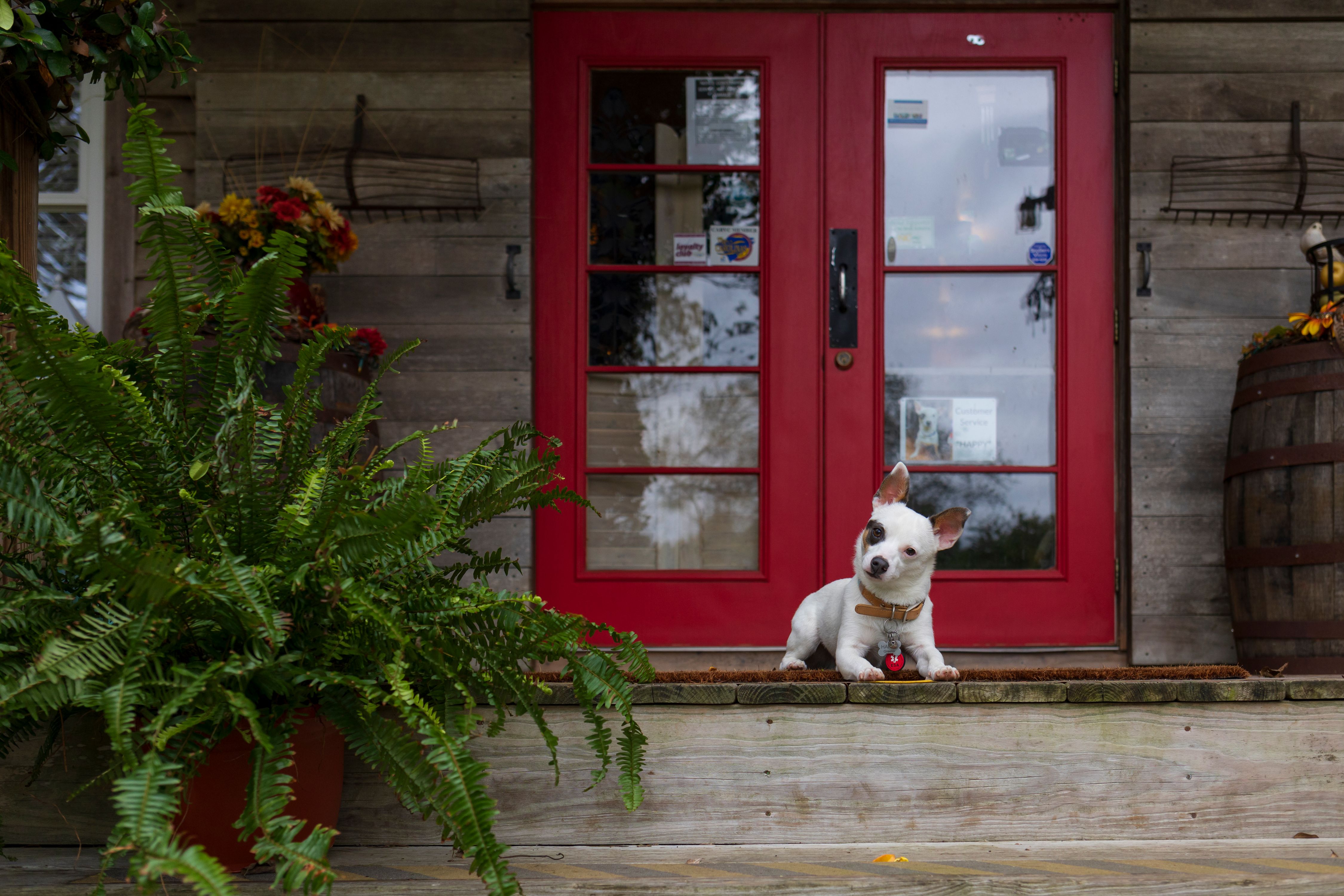 Grapeful Sisters Vineyard-00094-2.jpg