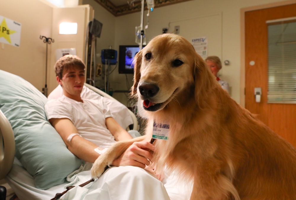 untitled-64 copy.jpg