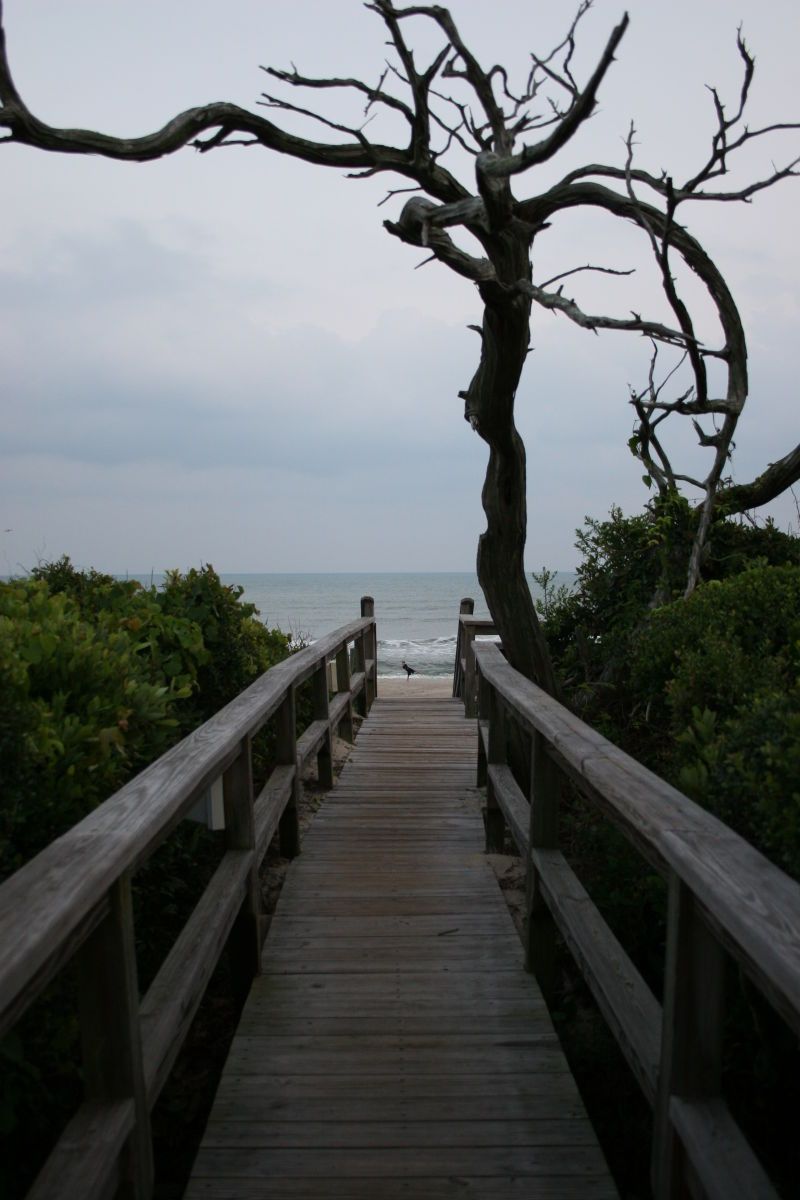 1_2_the_secret_pathway_pine_knoll_shores_2.jpg