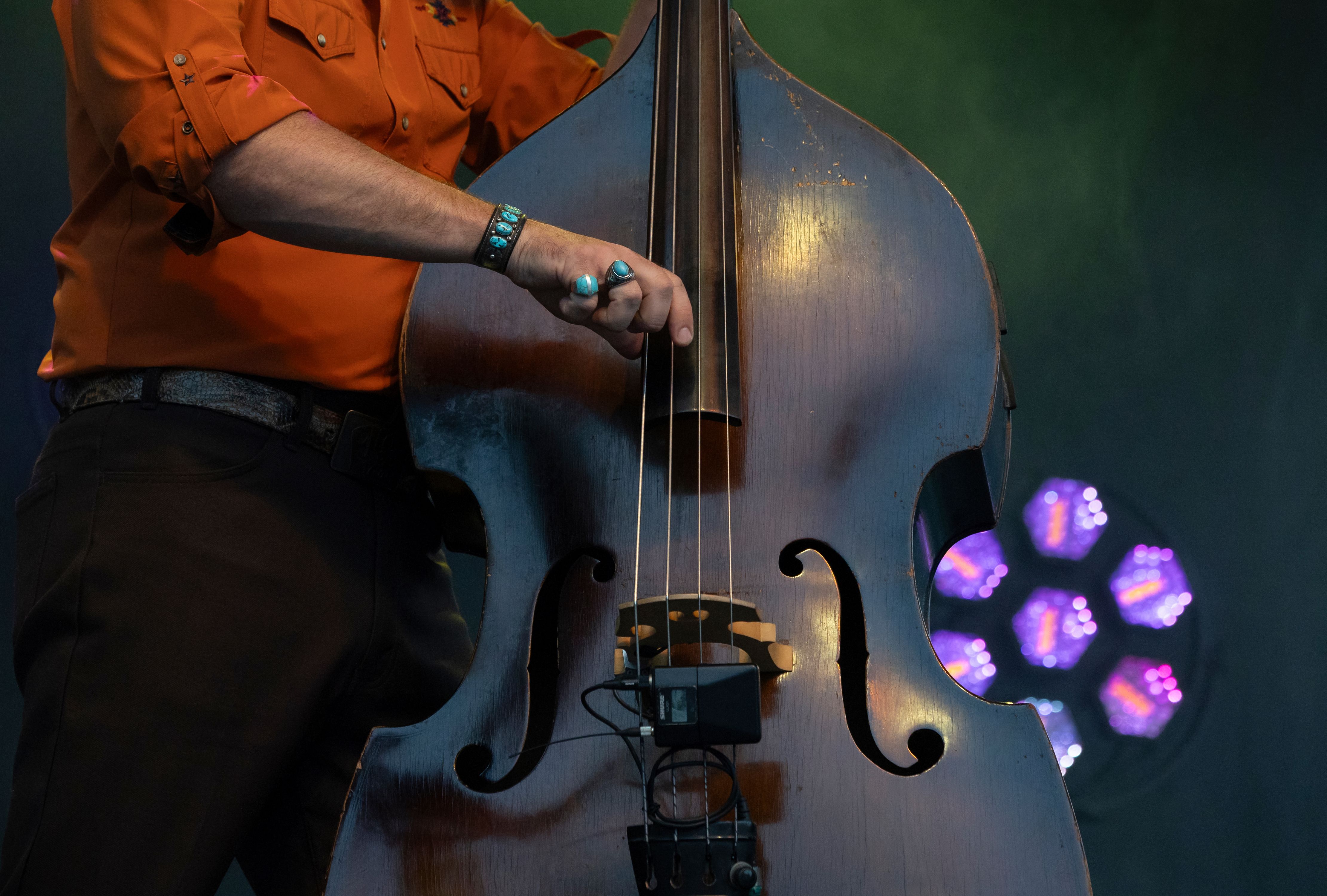 Carrboro Bluegrass Festival-85 copy.jpeg