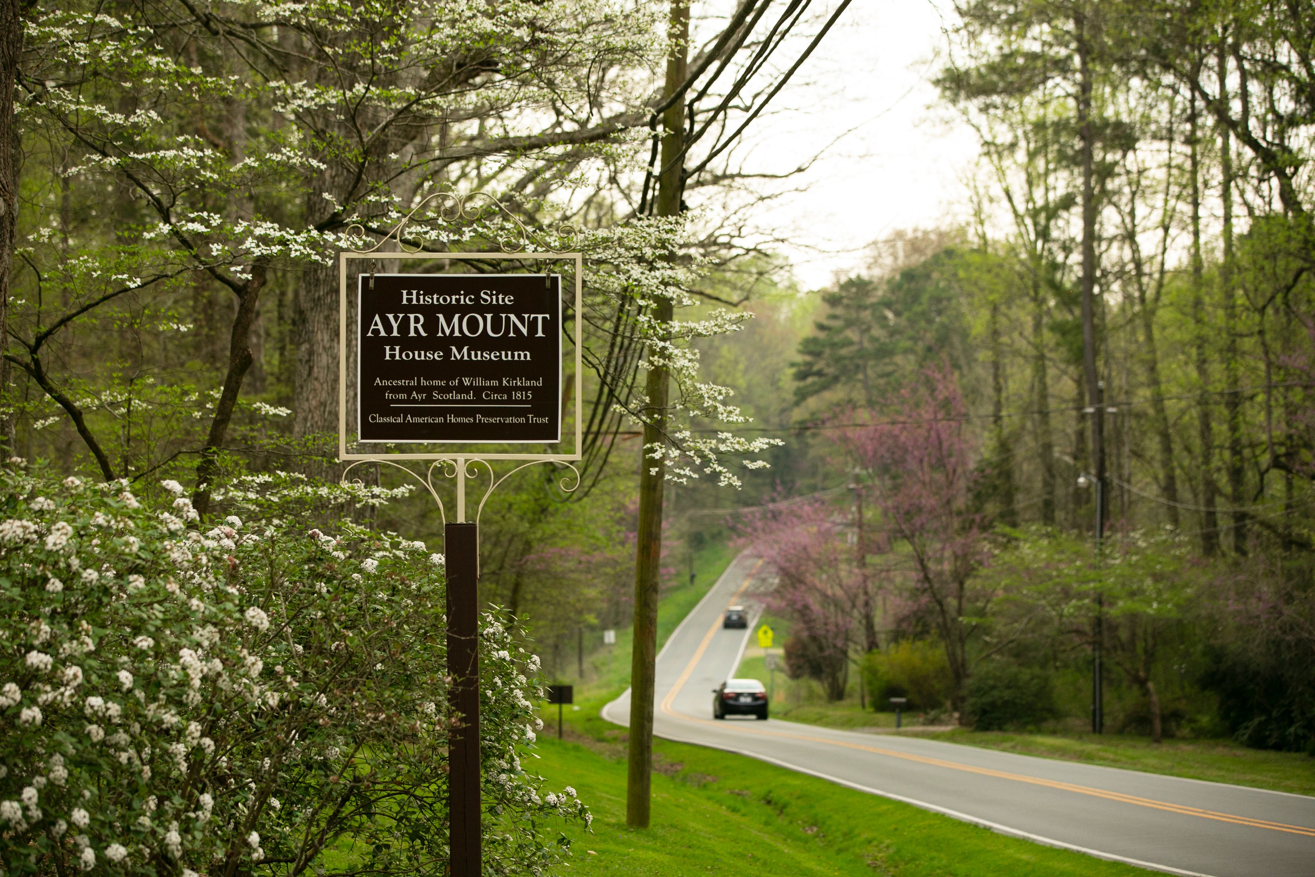 Spring in Orange County-66.jpg