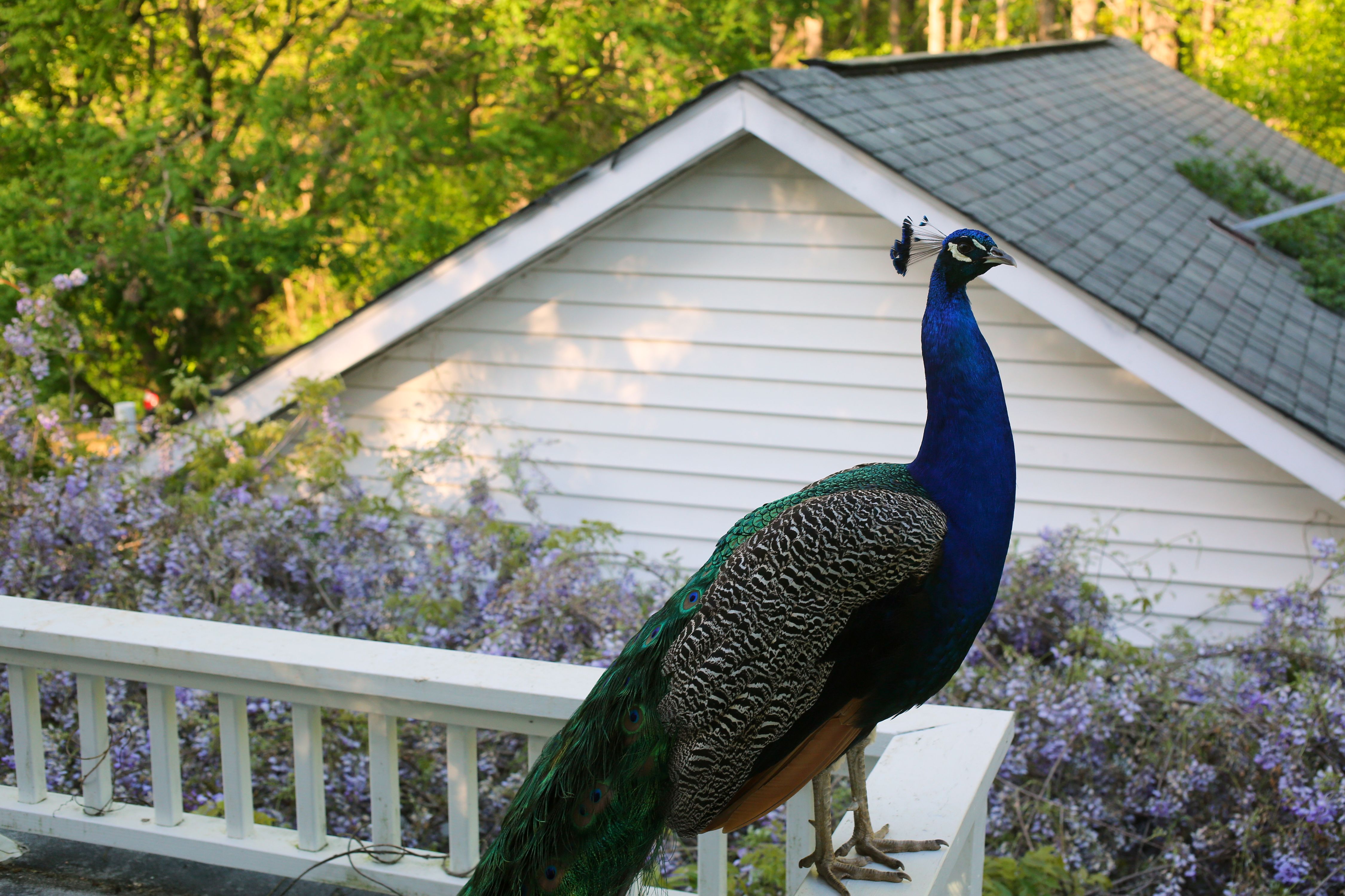 untitled-287 copy.jpg