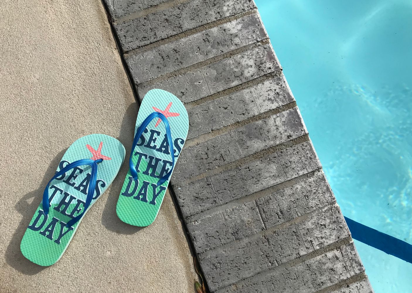 Fixed Seas the Day copy.jpg