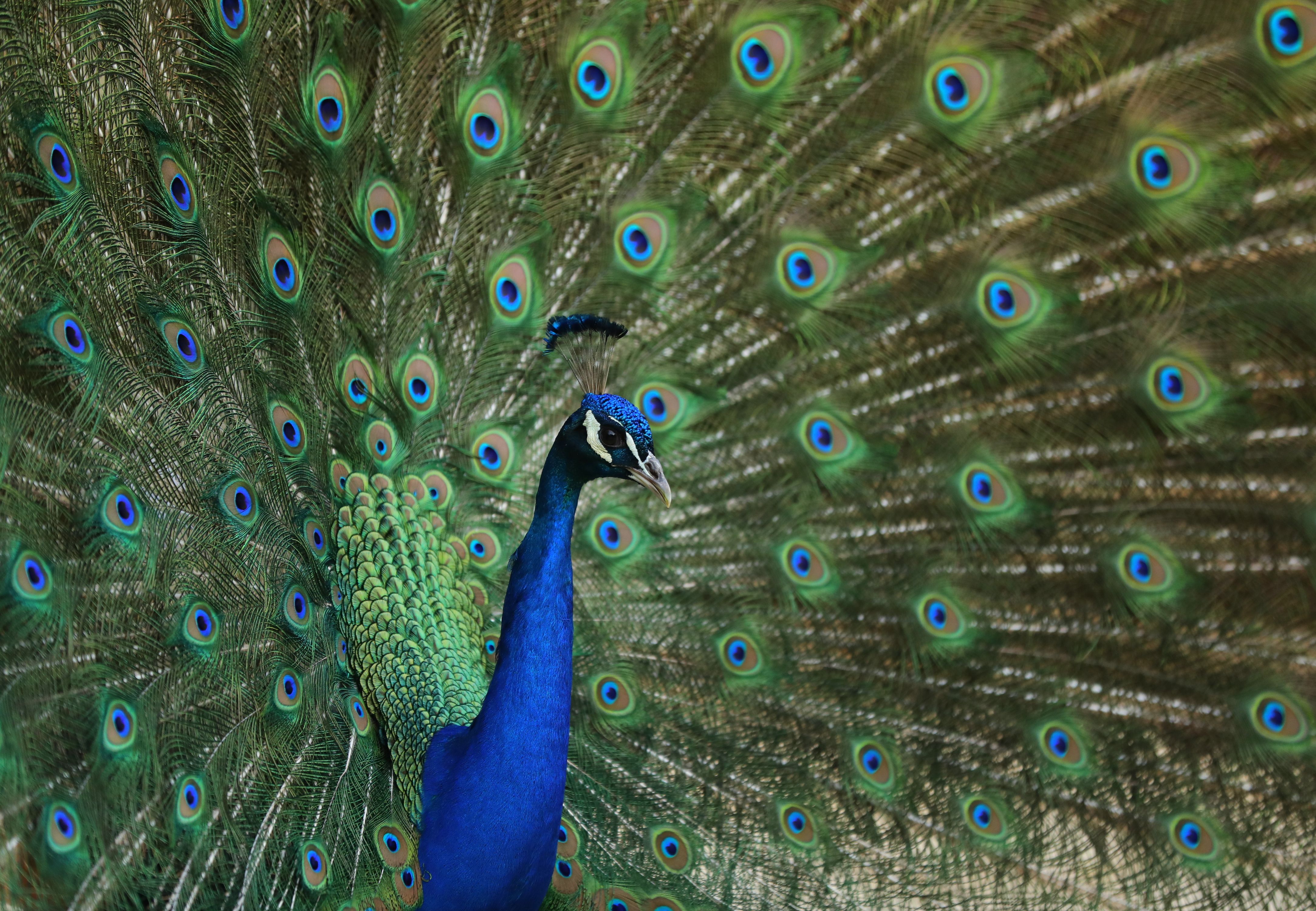 FAVORITE THREE AGAIN.JPG