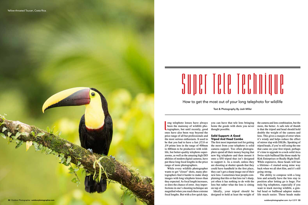 Screen Shot 2021-06-02 at 1.04.05 PM.png