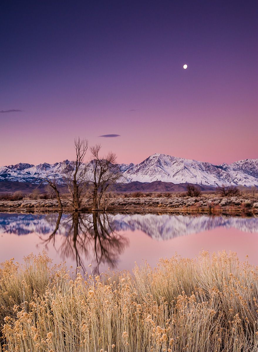 Full Moon and Mountains Reflected in an Eastern Sierra Pond at Sunrise