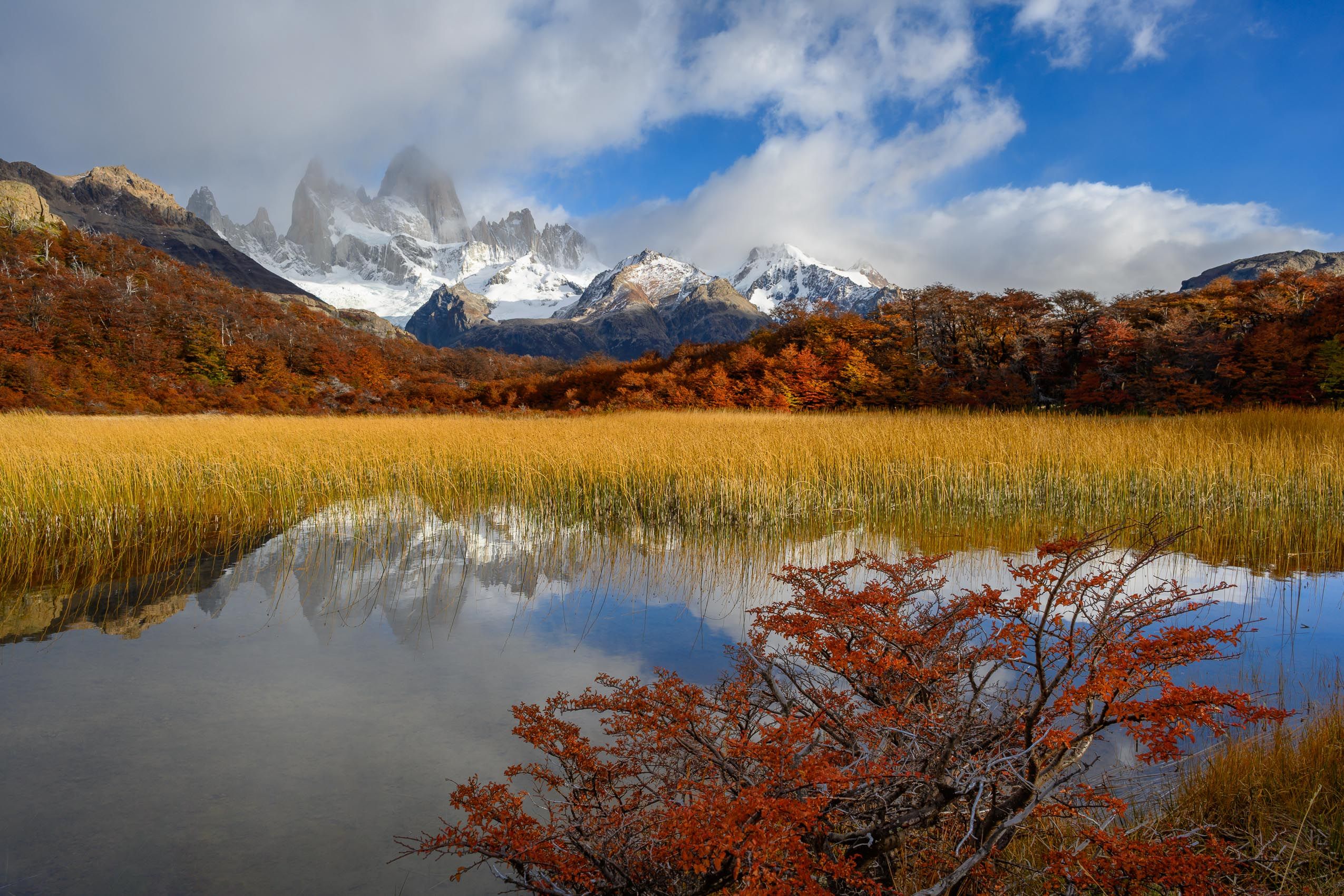 Fall sunrise reflection of Mount Fitz Roy