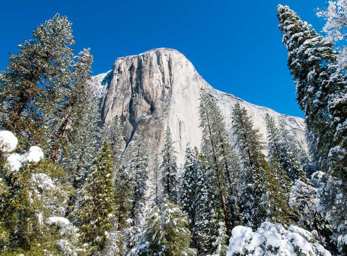 Joshmiller_El Capitan-14.jpg