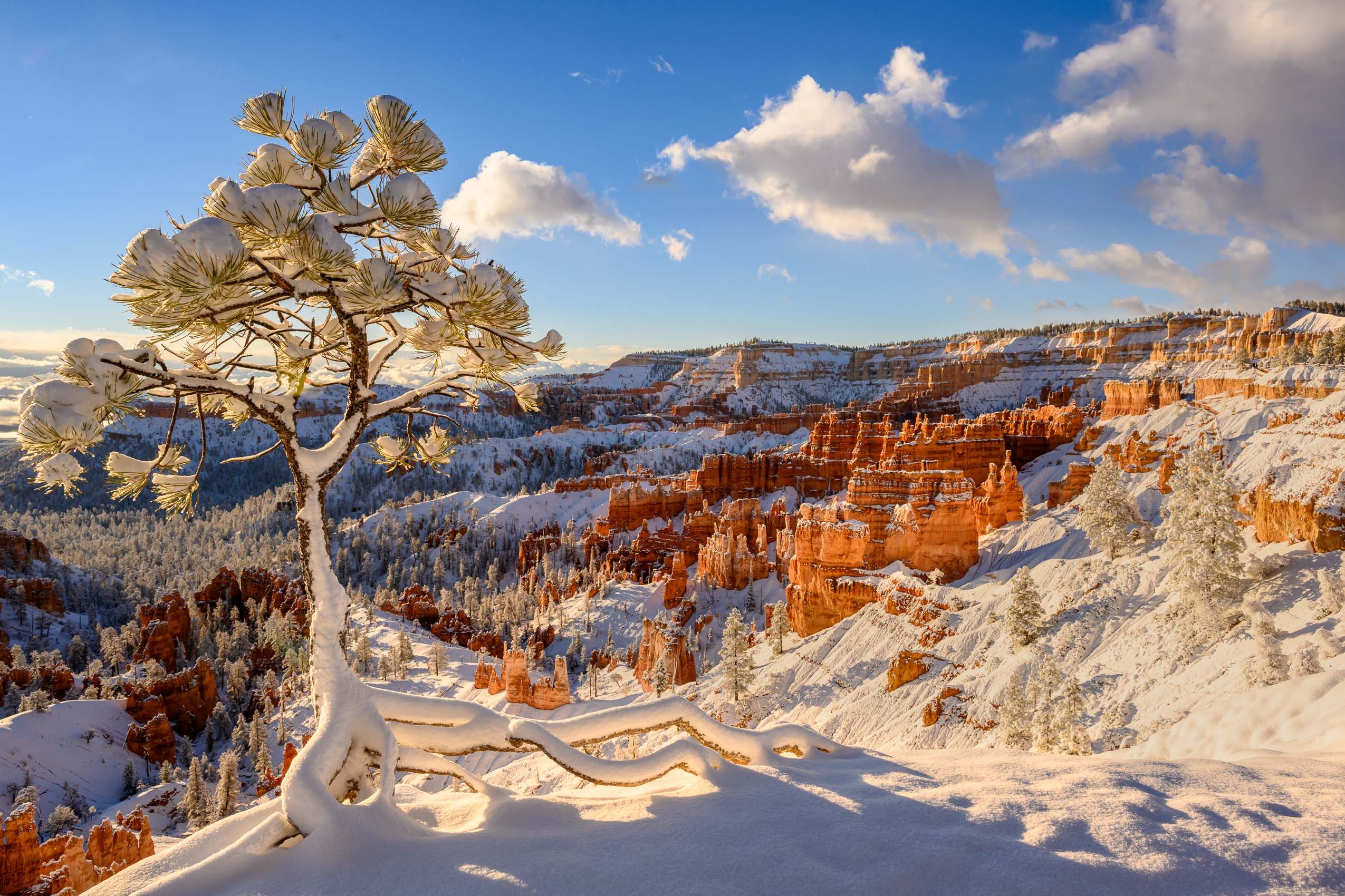 Snowy sunrise in Bryce Canyon