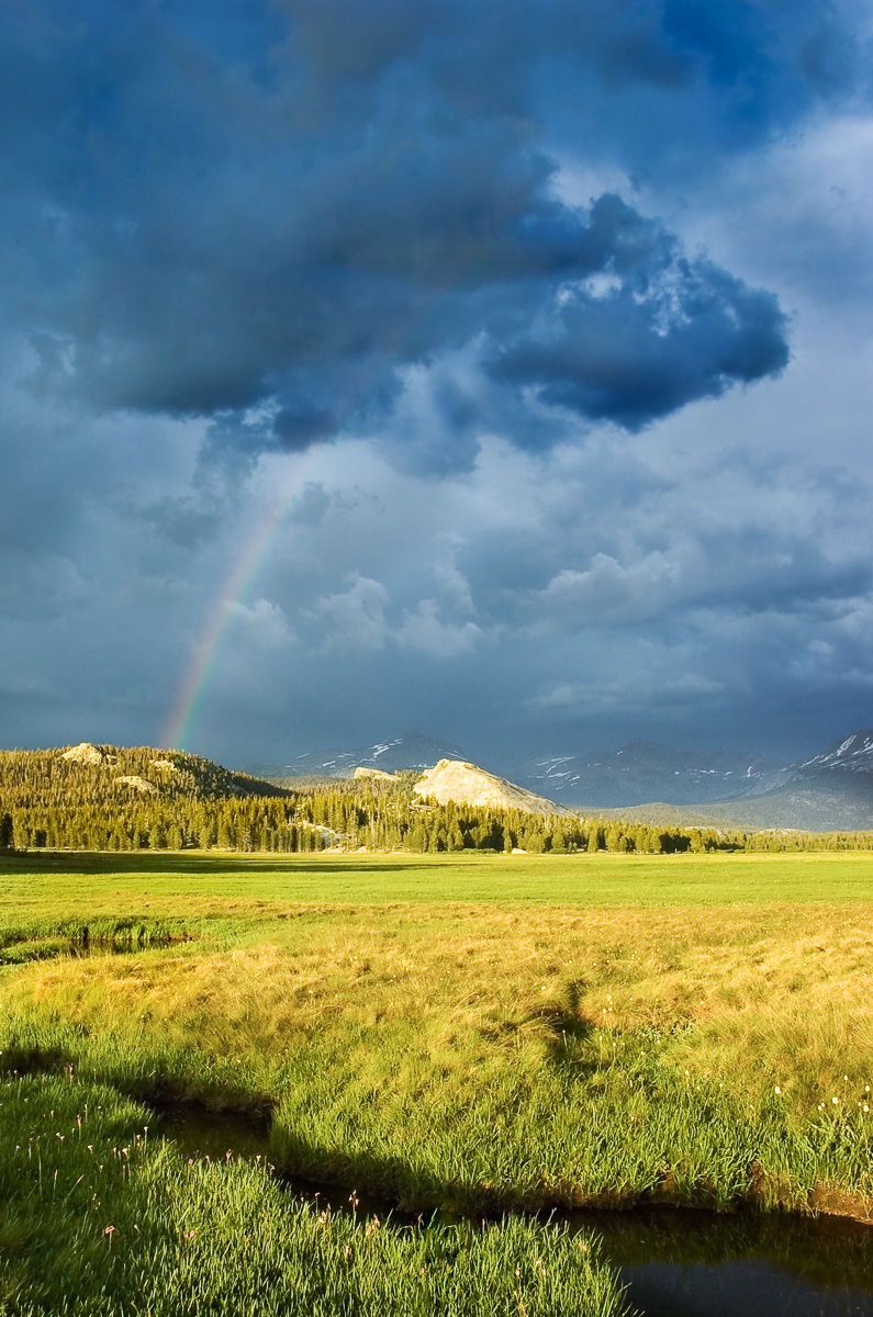 Rainbow in the Midst of a Summer Thunderstorm over Tuolumne Meadows