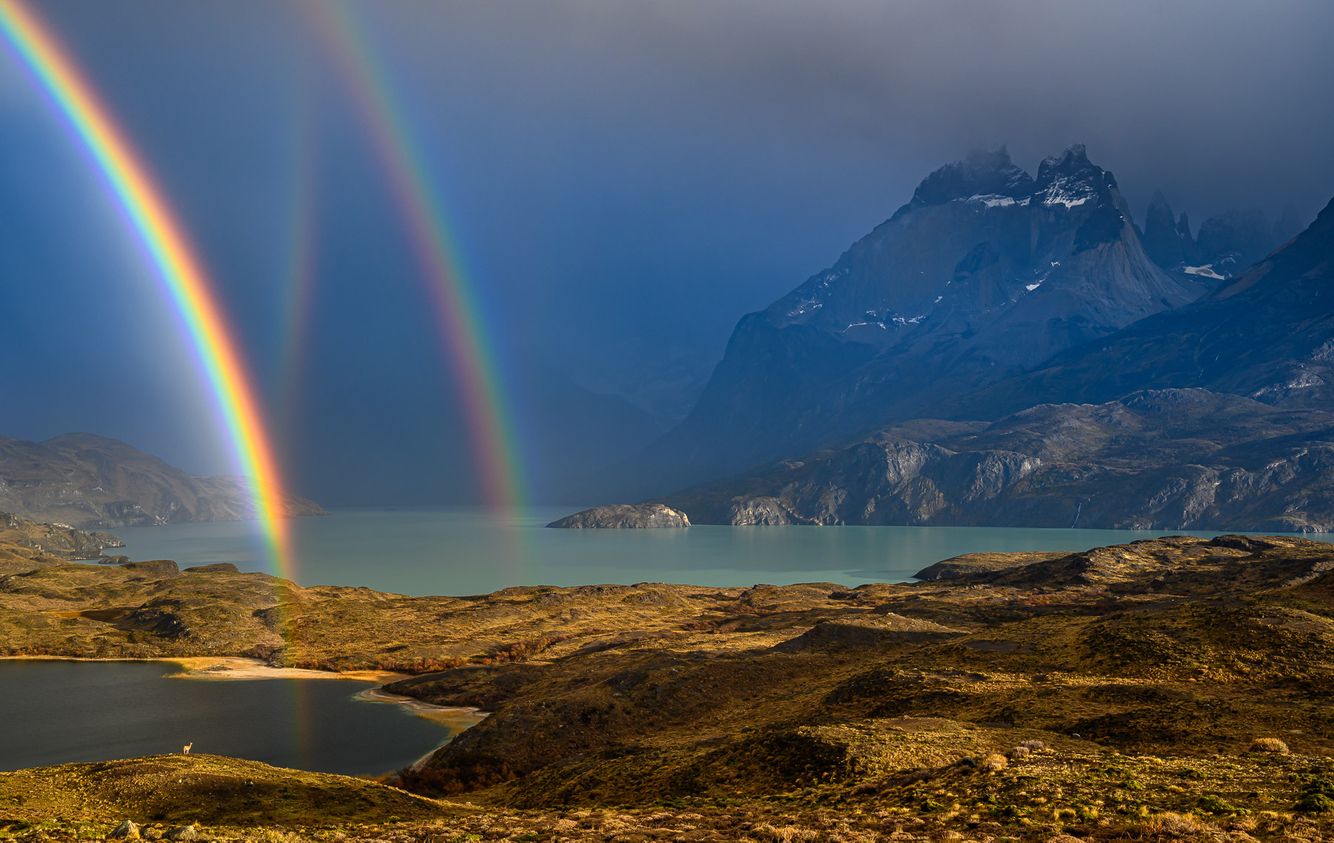 Triple Rainbow and Guanaco