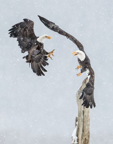 Josh Miller Photography-19.jpg