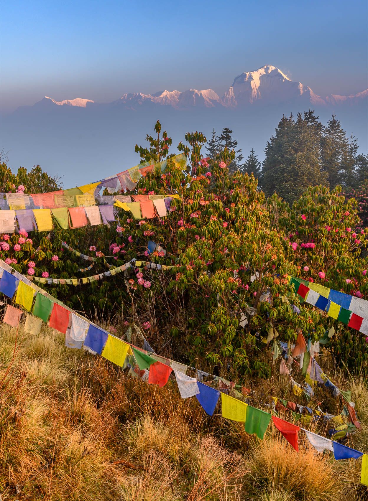 Annapurna at sunrise