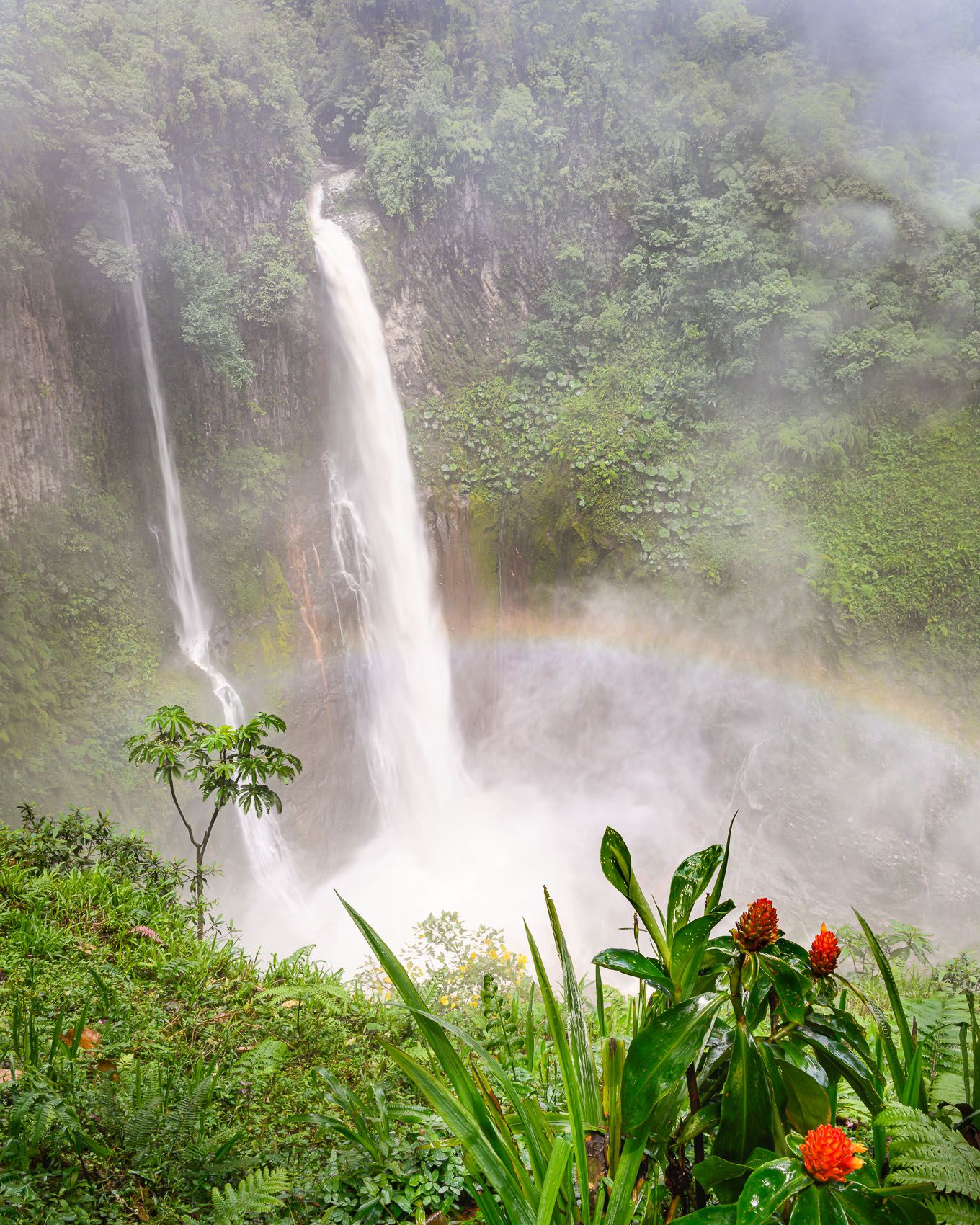 Tropical waterfall