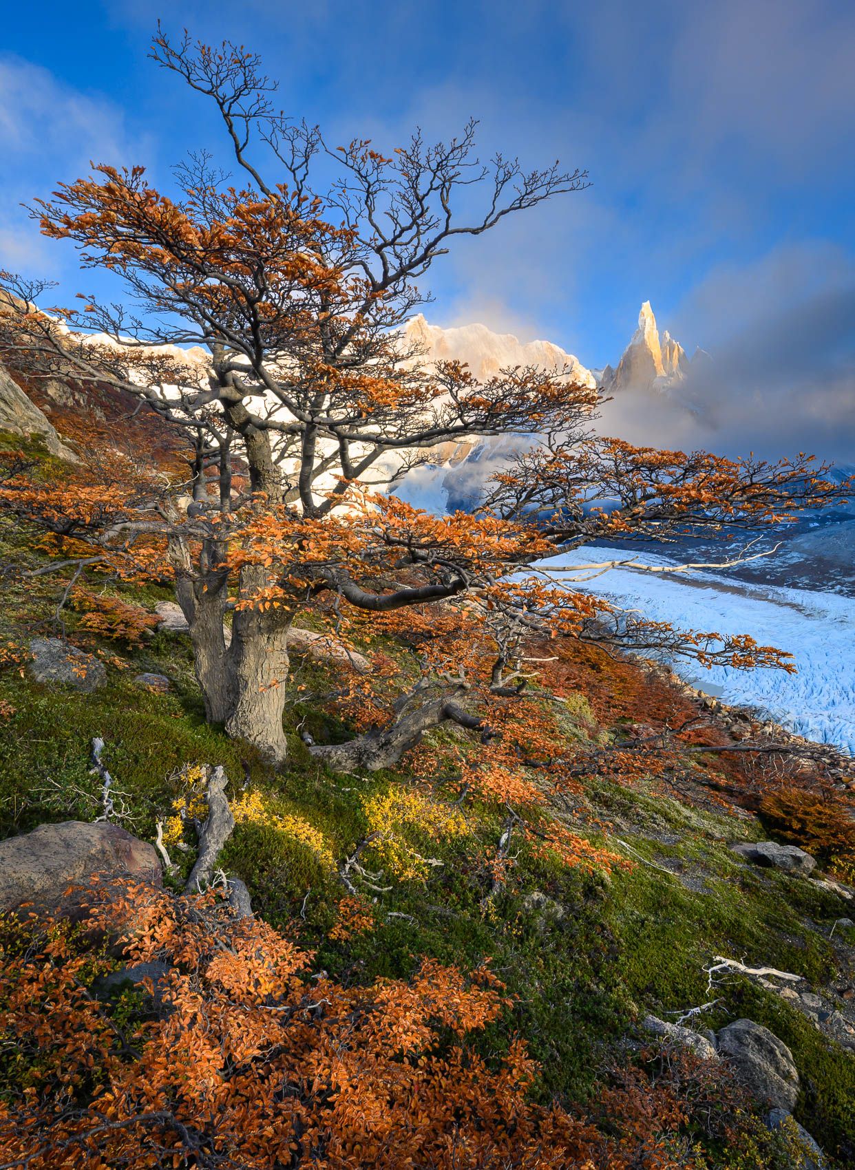 Patagonia fall sunrise and Cerro Torre
