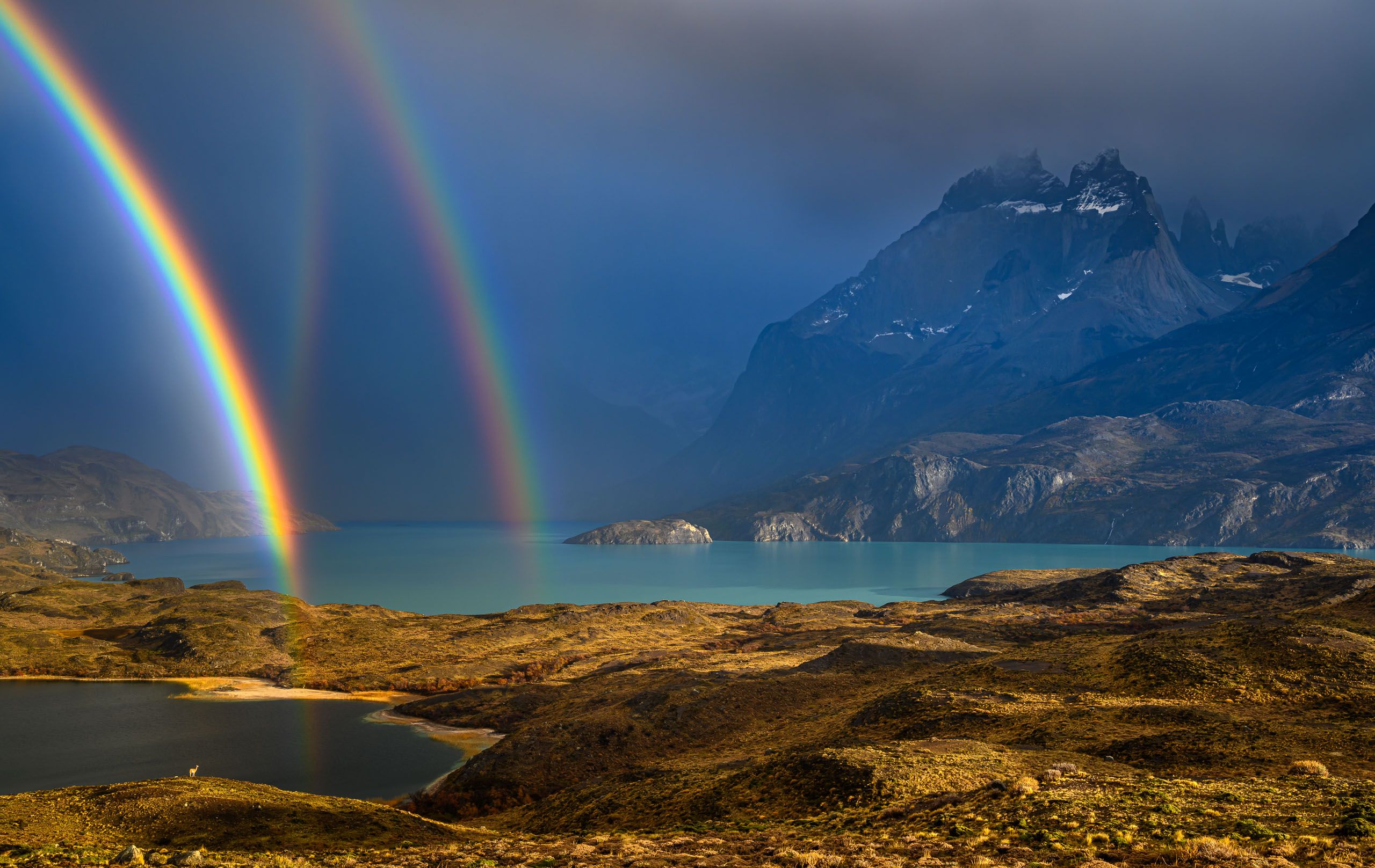 Tripple rainbow and guanaco
