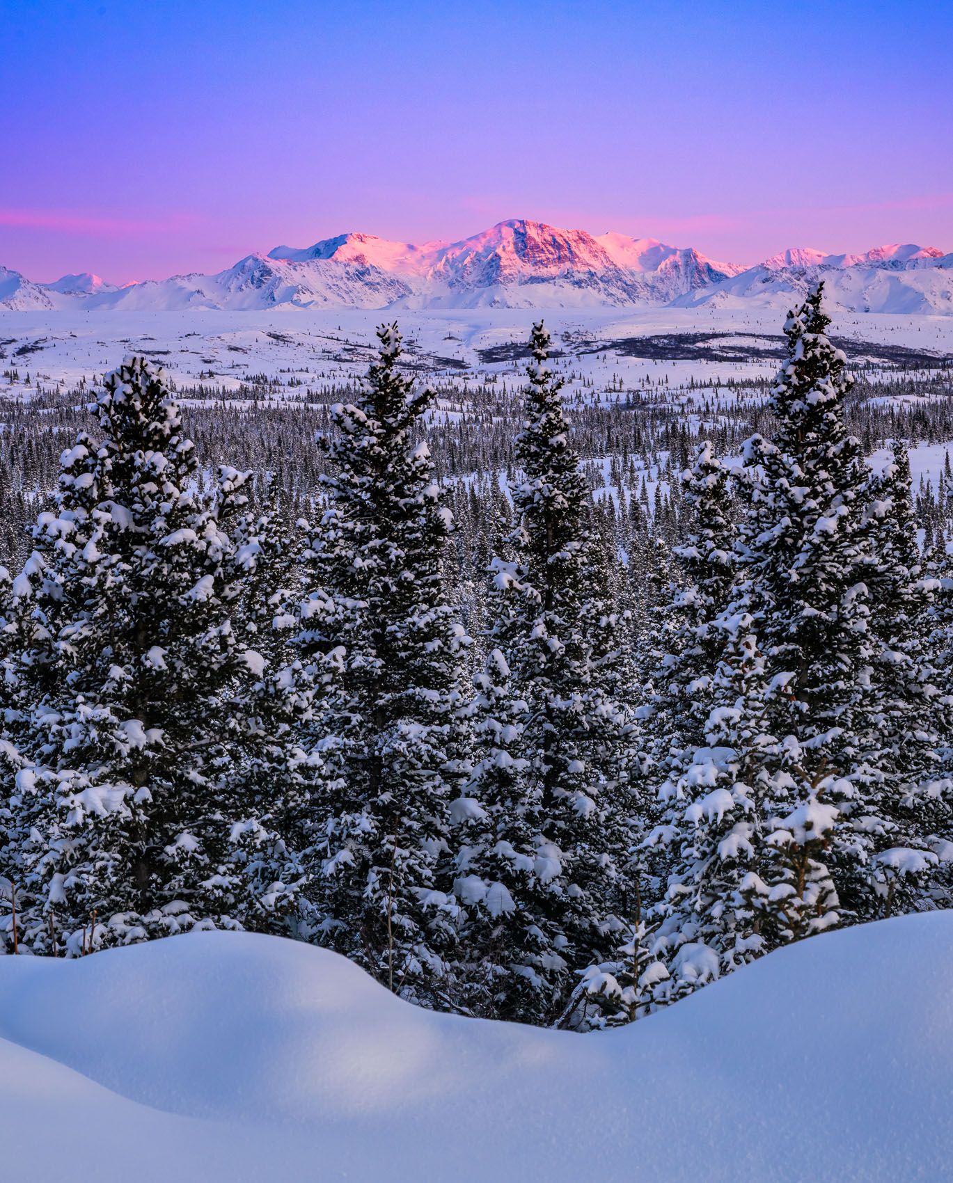 Alaska alpineglow Alaska Range at sunset