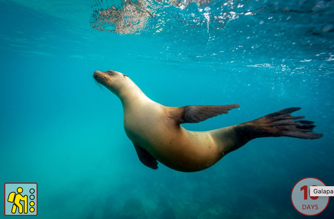 Screenshot 2026-04-03 at 10.03.48%E2%80%AFAM.png