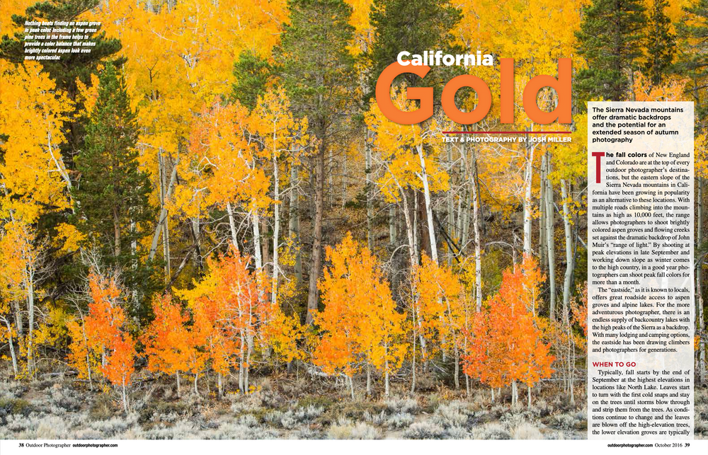 Screen Shot 2021-06-02 at 1.10.42 PM.png