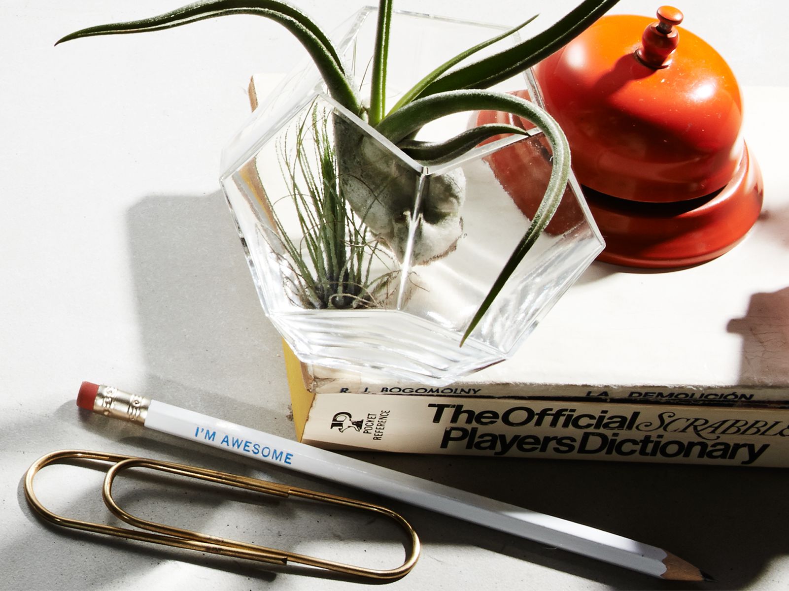 WARBY_AUG_8911.jpg
