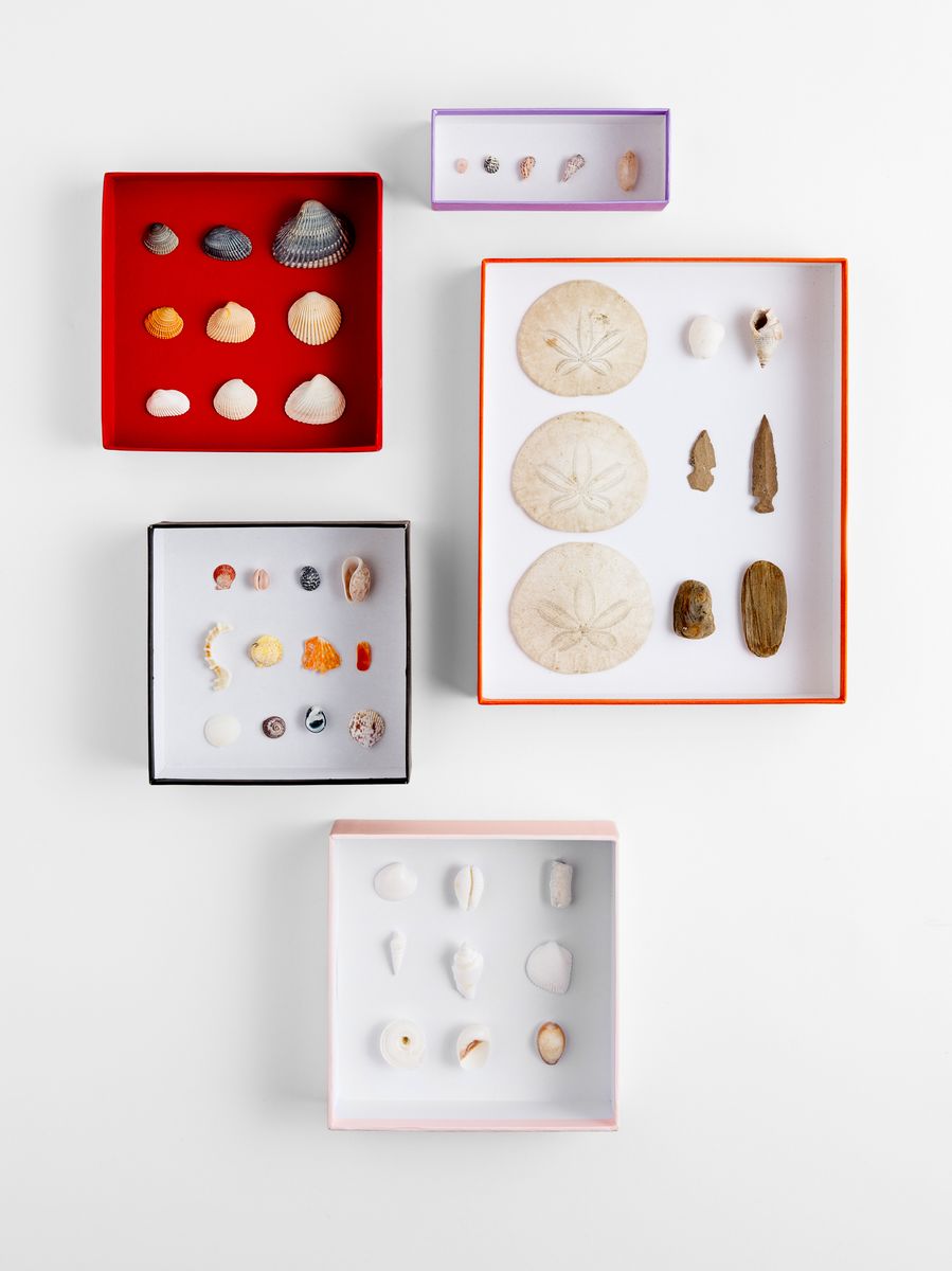 SHELLS_COLLECTION_PROFOTO_RGB.jpg