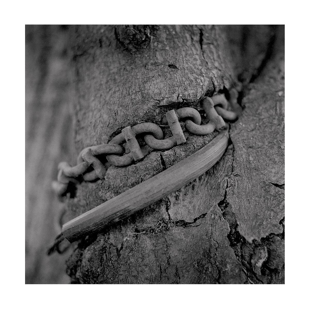 1roll_32_neg_12_5_website