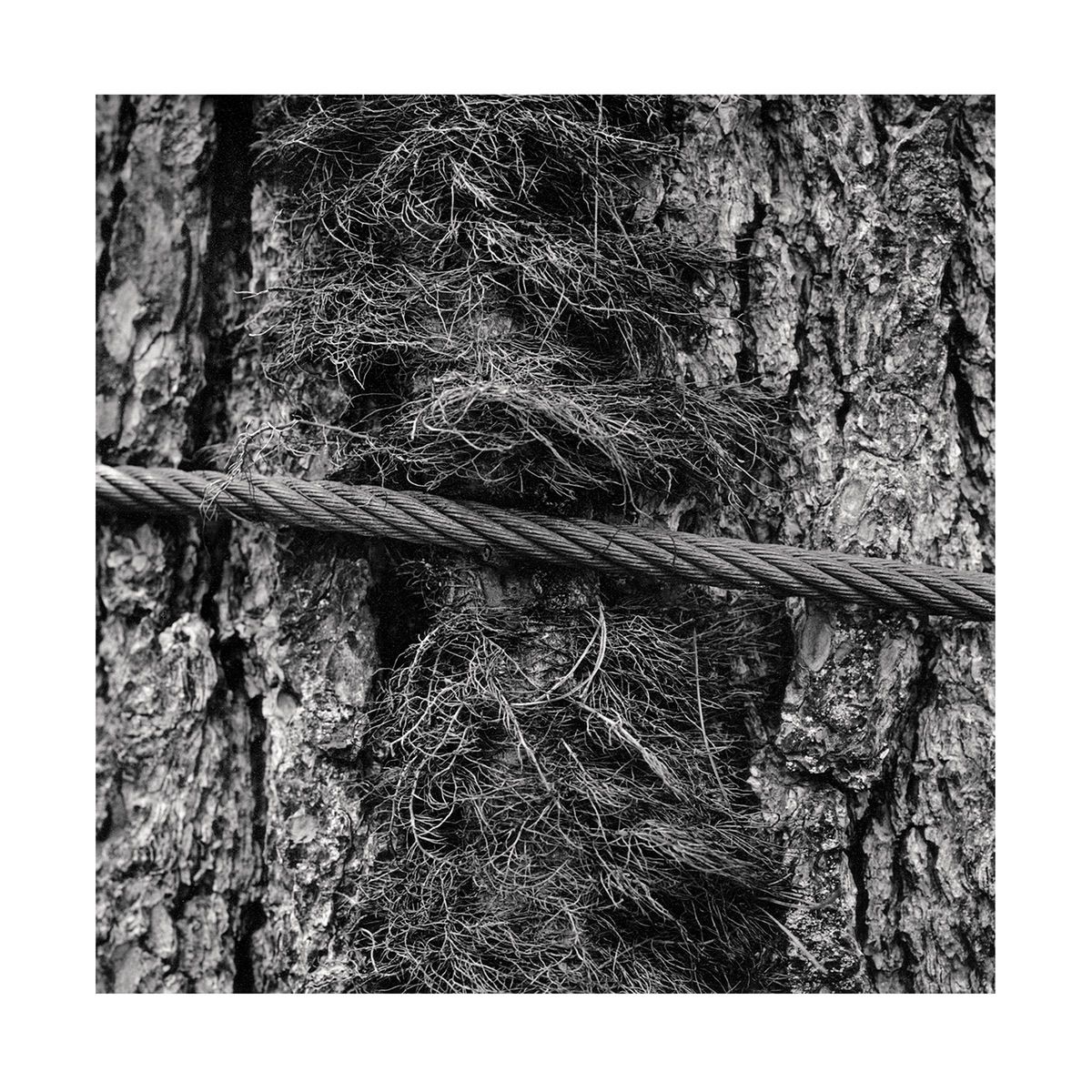 1roll_44_neg_1_41_3_website