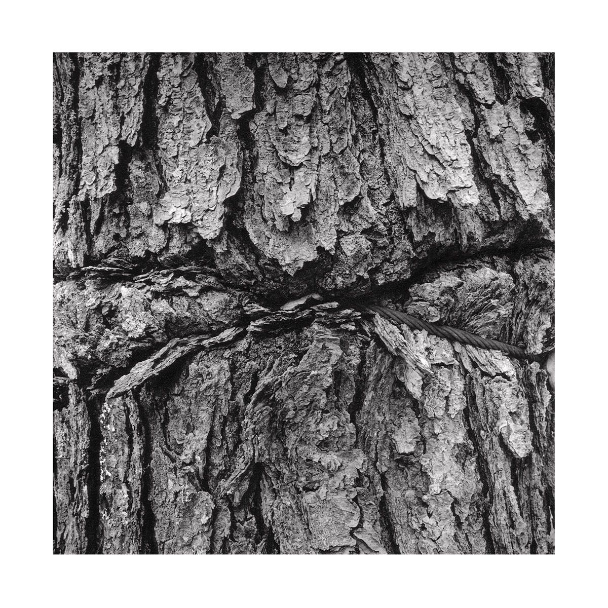 1roll_80_neg_6_47_3_website