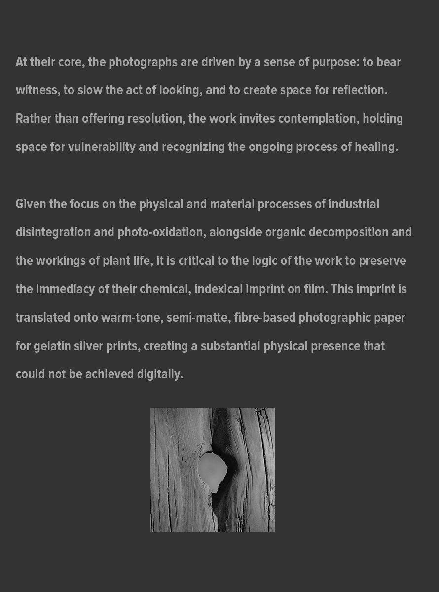 Artist-Statement---Website-Updated-Page-2---August-19,-2026-copy.jpg