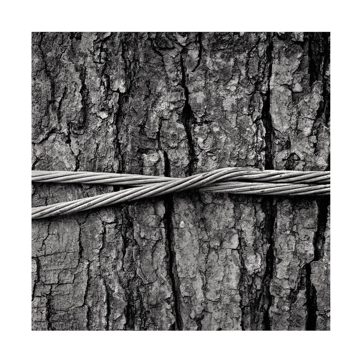 1roll_47_neg_2_3_website