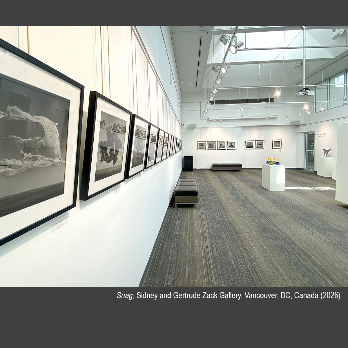 Snag_Zack_Gallery_Capture_April_2026_Website_1.jpg