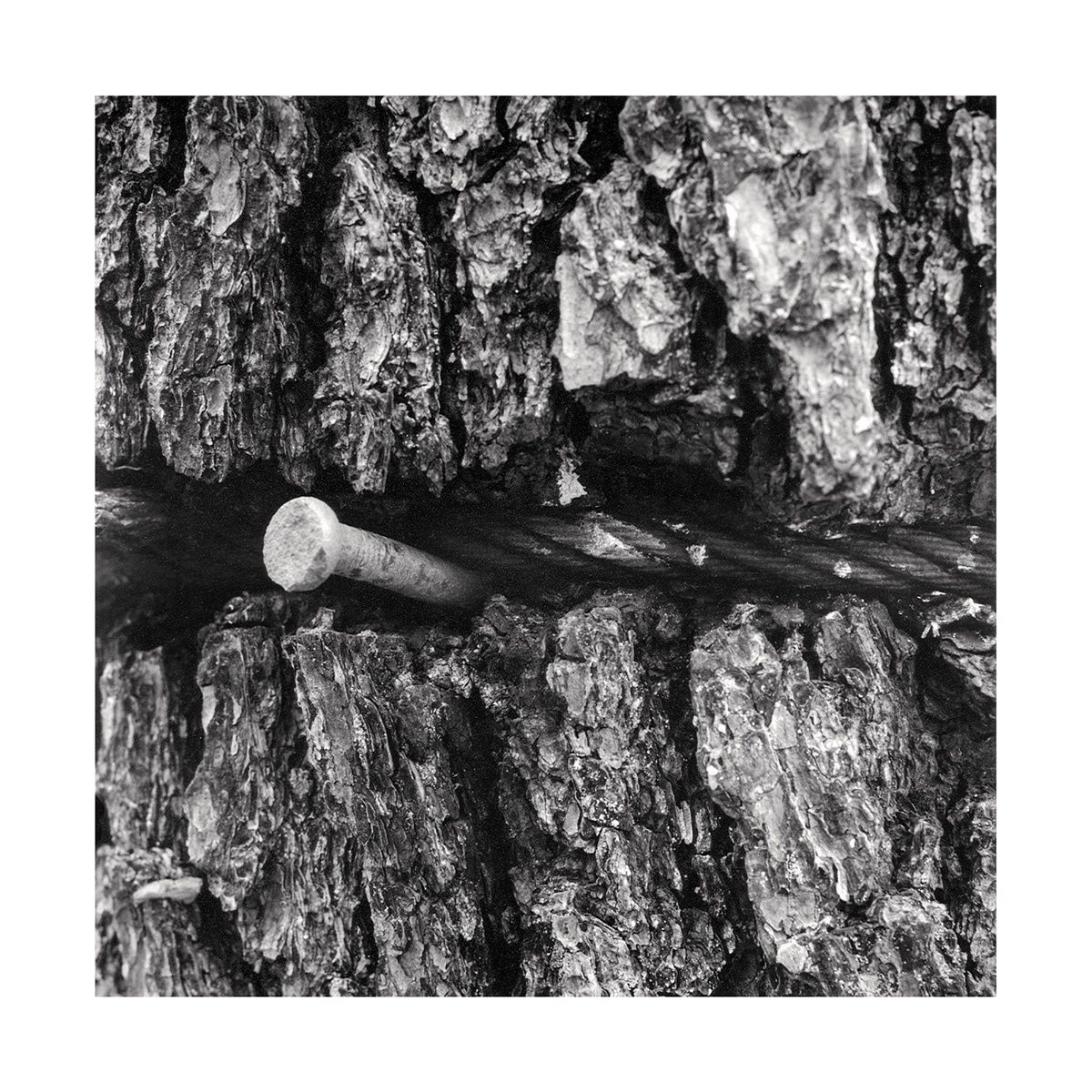 1roll_31_neg_7_48_3_website