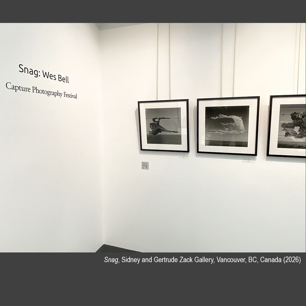 Snag_Zack_Gallery_Capture_April_2026_Website_2.jpg