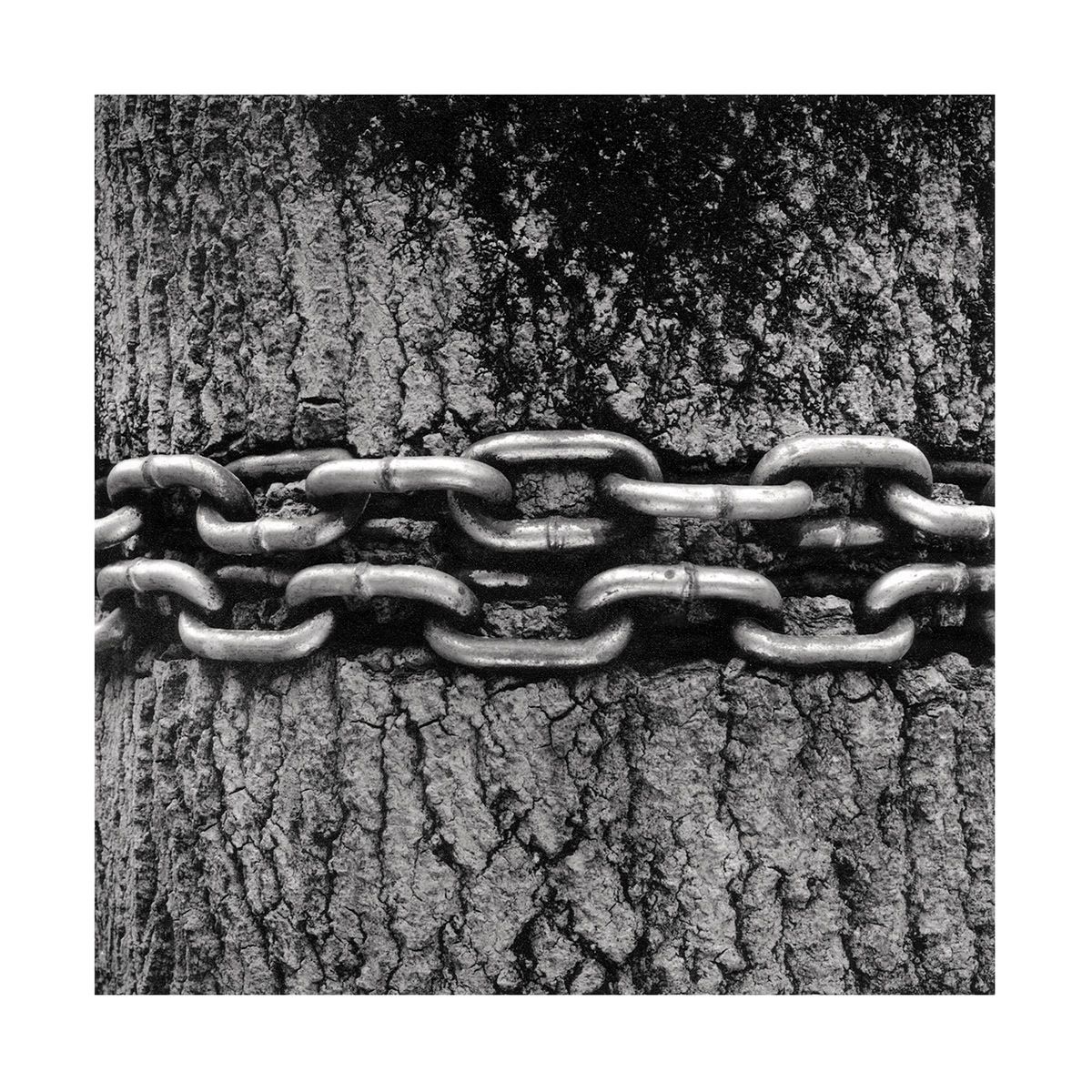 1roll_87_neg_6_47_3_website